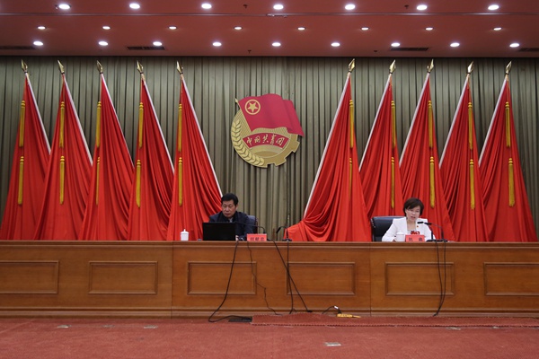 Warmly Congratulat The Jining City Youth Federation The Tenth Committee First Plenary Meeting Preparatory Meeting